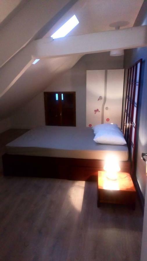 Maison Duplex & Appartement Sur Cour La Ferté-Gaucher 外观 照片